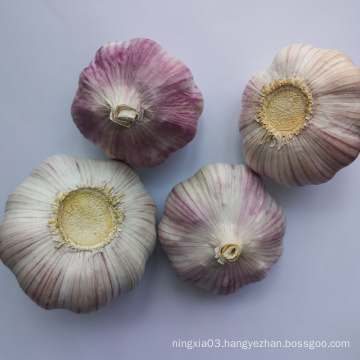 Chinese normal garlic for sale white fresh garlic price shandong garlic for sale